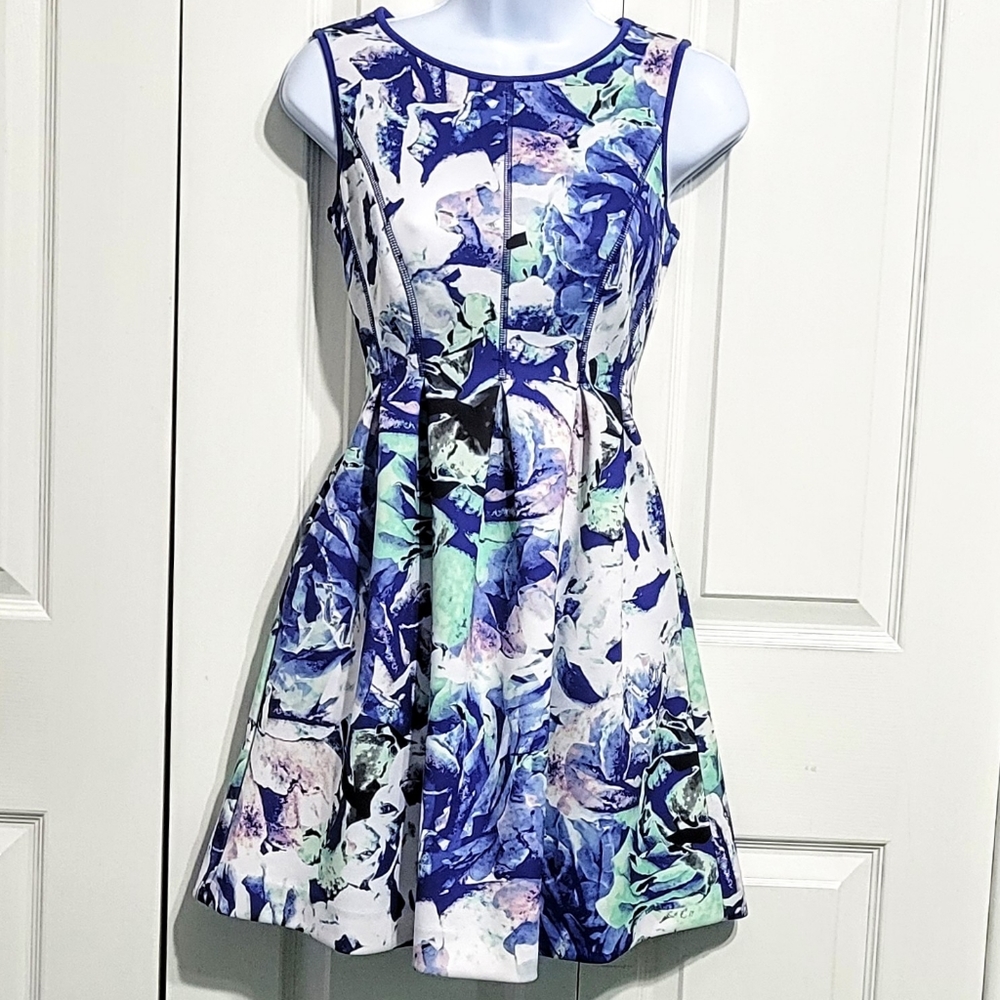 Apt. 9 Floral Fit And Flair Dress Blue Skater White